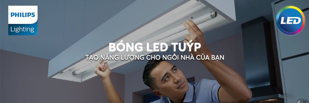 cac loai bong thong dung hien nay