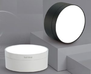 Đèn LED Ống Bơ Lắp Nổi Philips DL212 EC RD 080 5W