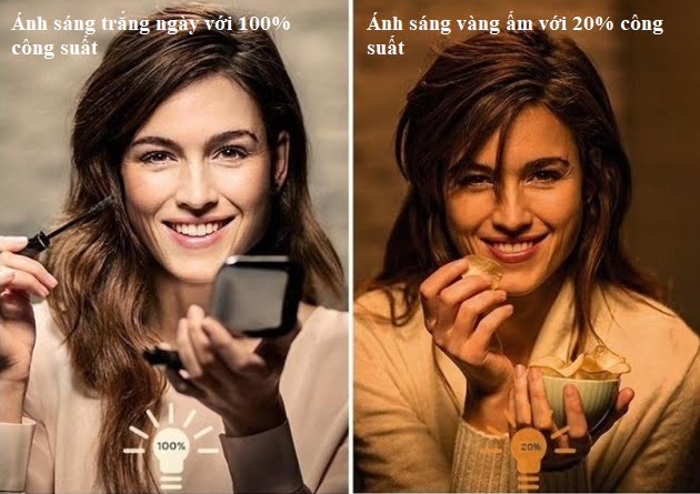 chế độ ánh sáng đèn Scene Switch 2S 6.5-60W
